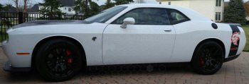 2008 Dodge Challenger Rear Bumblebee Tail Stripes
