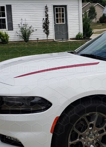 2015 to 2023 Dodge Charger Hood Spears
