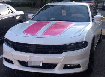 2015 Dodge Charger Main Hood Decal