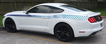 2015 to Present Ford Mustang Full Length Upper Body Stripes